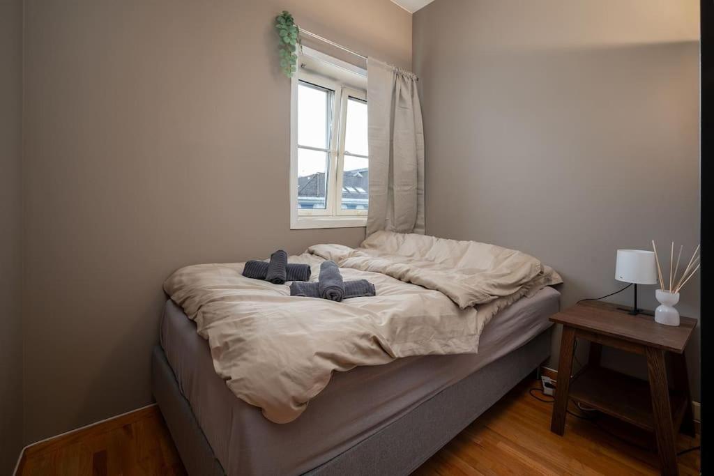 Studio Apt In City Centre Тронхейм Экстерьер фото